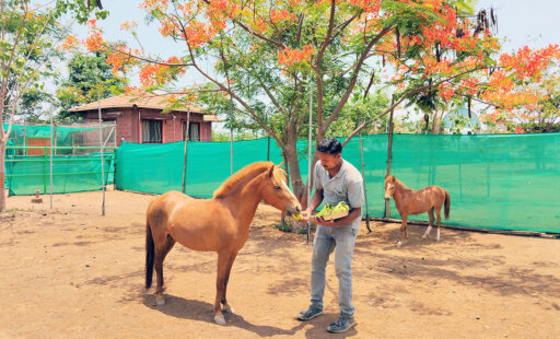 Resident Spotlight: Pony Jwala Is Having the Time of Her Life