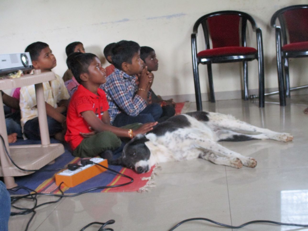 Rescued dog Julie snuggles up to the students, who offer her gentle rubs and pats.