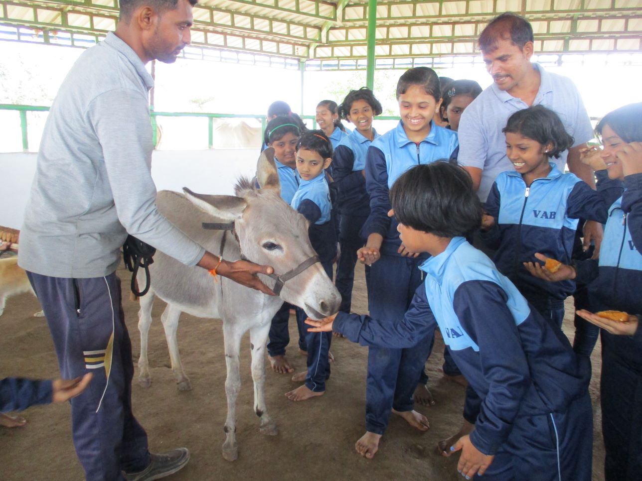 Students show the animals their affection by offering some favorite sweet treats.