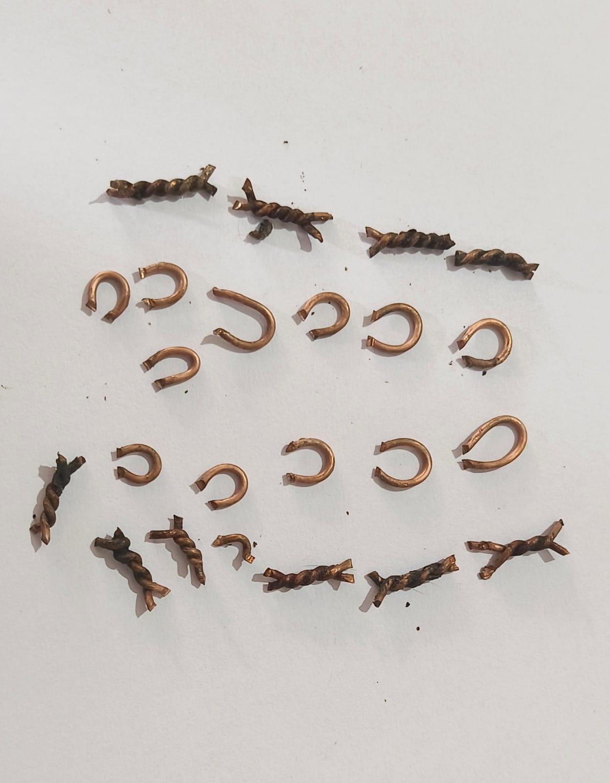 These are the copper staples Animal Rahat removed from one of the pony's' vulvas.
