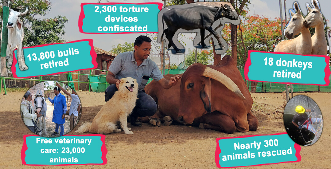 This image shows Animal Rahat Chief Operating Officer Dr. Naresh Upreti, bullock Maruti, and dog Lucy, along with statistics about Animal Rahat’s work in 2023.
