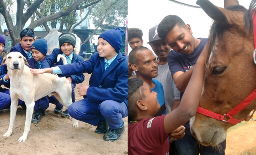 Students Have a Glorious Field Day at Animal Rahat Sanctuaries