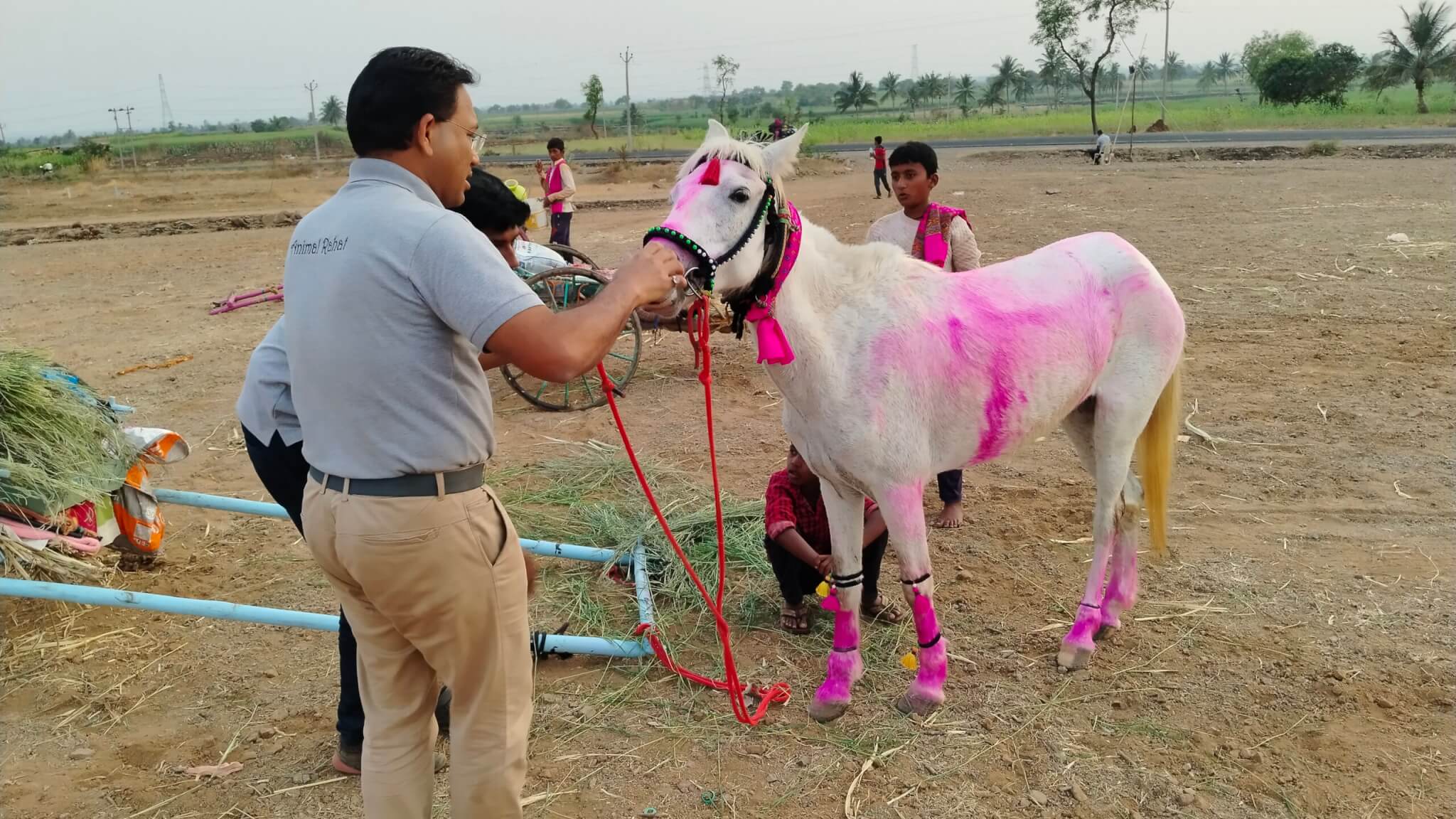 Staff at one of the Animal Rahat Chinchali rest camps remove an illegal sharp bit from a pony.