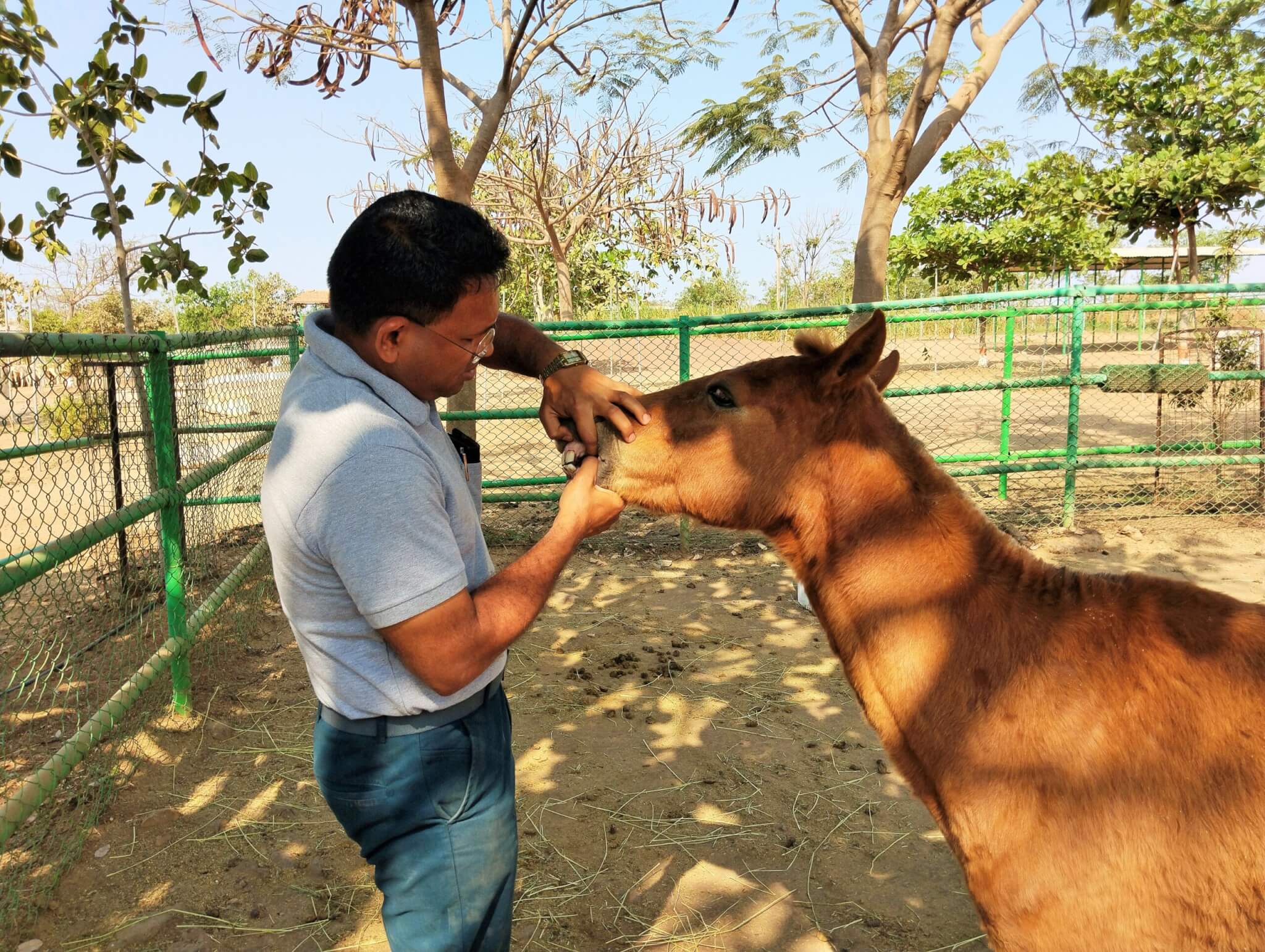 Staff help Shree unwind at the sanctuary with a nutritious meal and a nice, quiet place to relax.