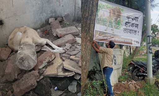 Suffocating, This Dog Had Lost Hope—But Animal Rahat Made Sure He Lived