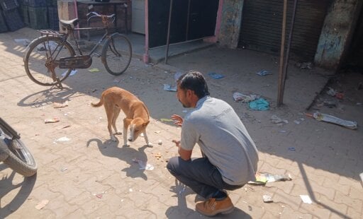She’s a Hero to India’s Village Dogs—and You Can Be Too   
