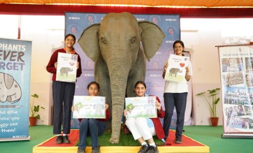 We’re Giving Children an Ele-vated Experience