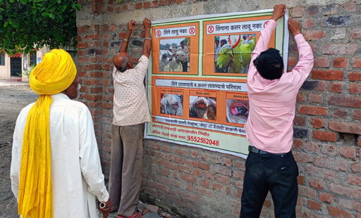 A Karwani Festival Without Paint or Pain