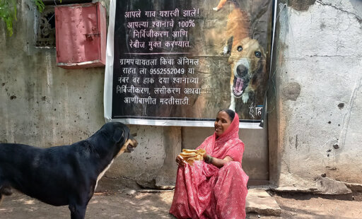 Compassion By the Numbers